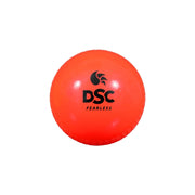 DSC Phoenix Cricket Set